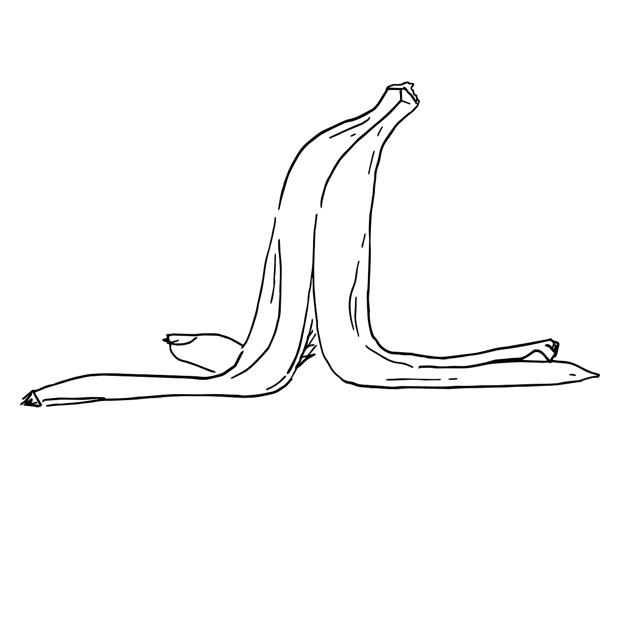 banana  peel  slip free photo