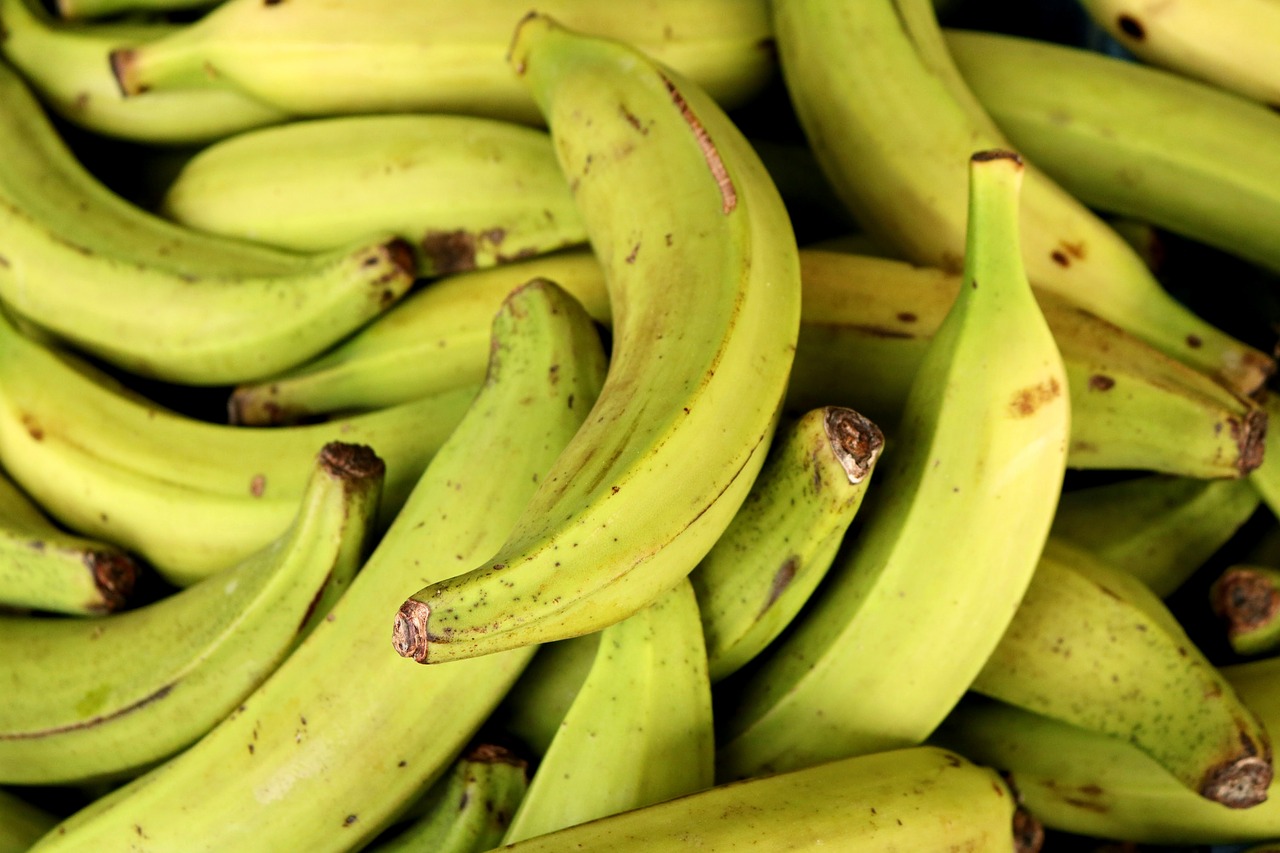 banana  market  fruit free photo