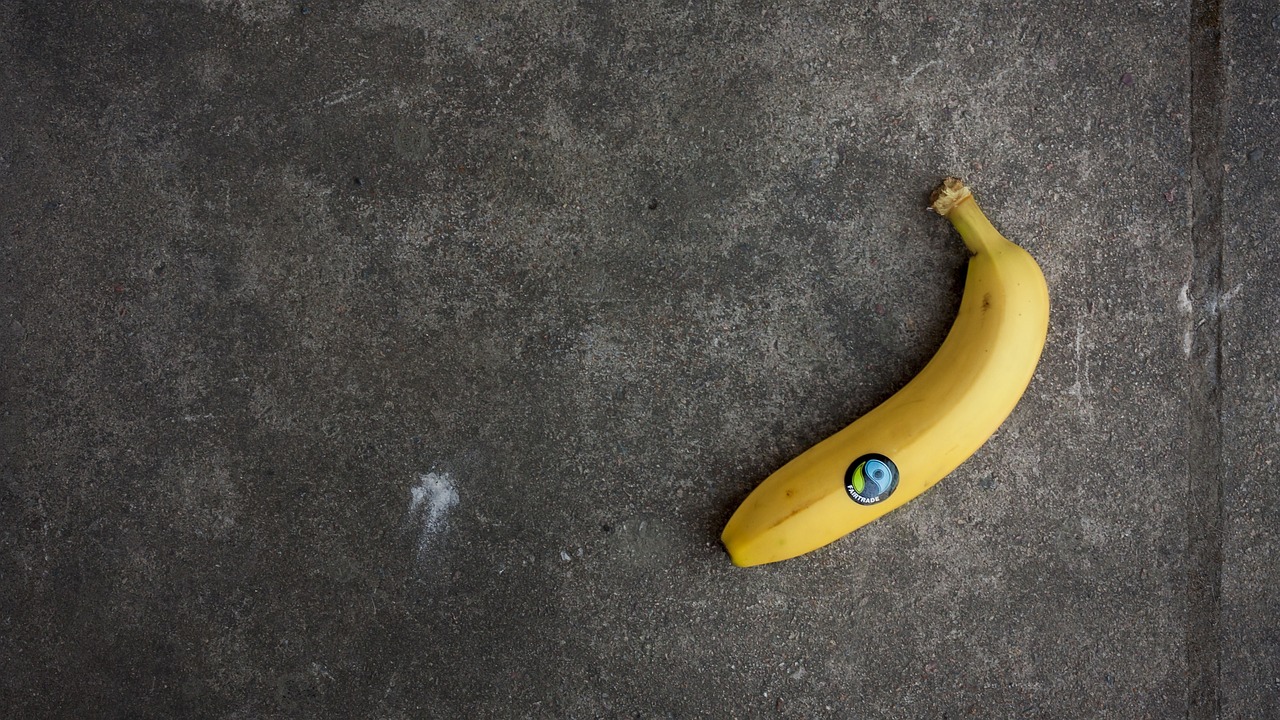 banana requirements fairtrade free photo