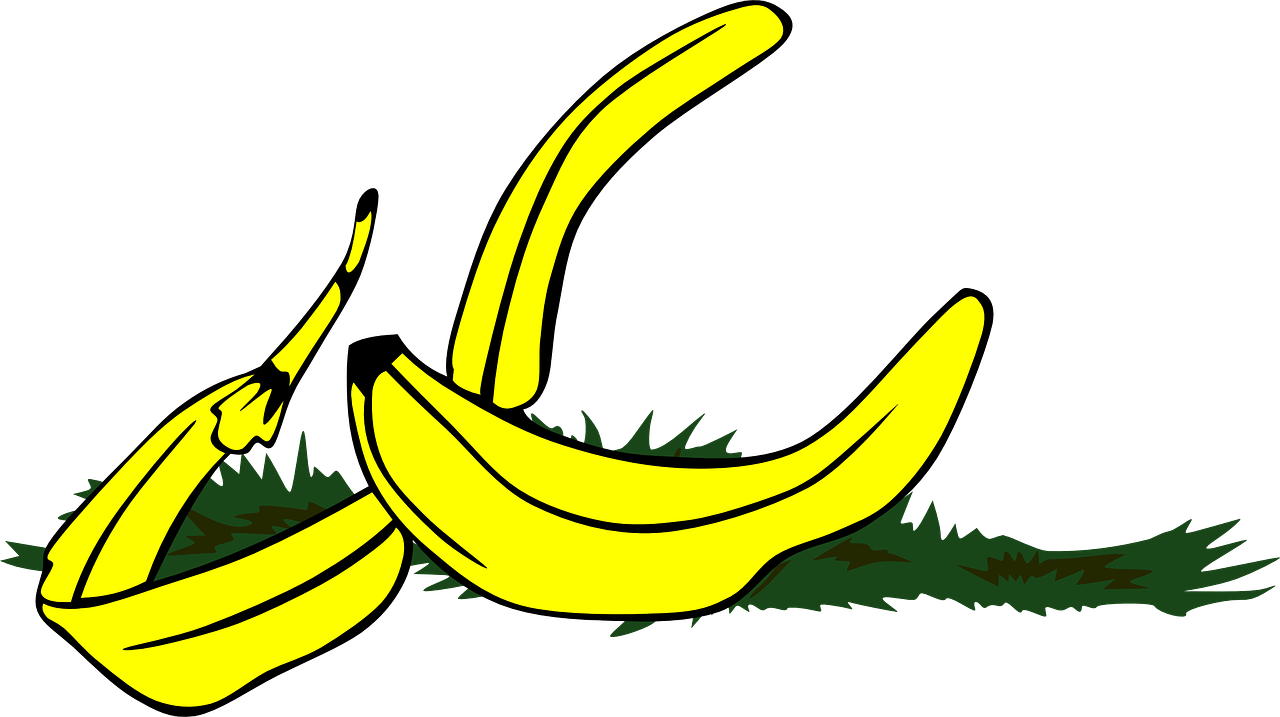 banana peel slippery free photo