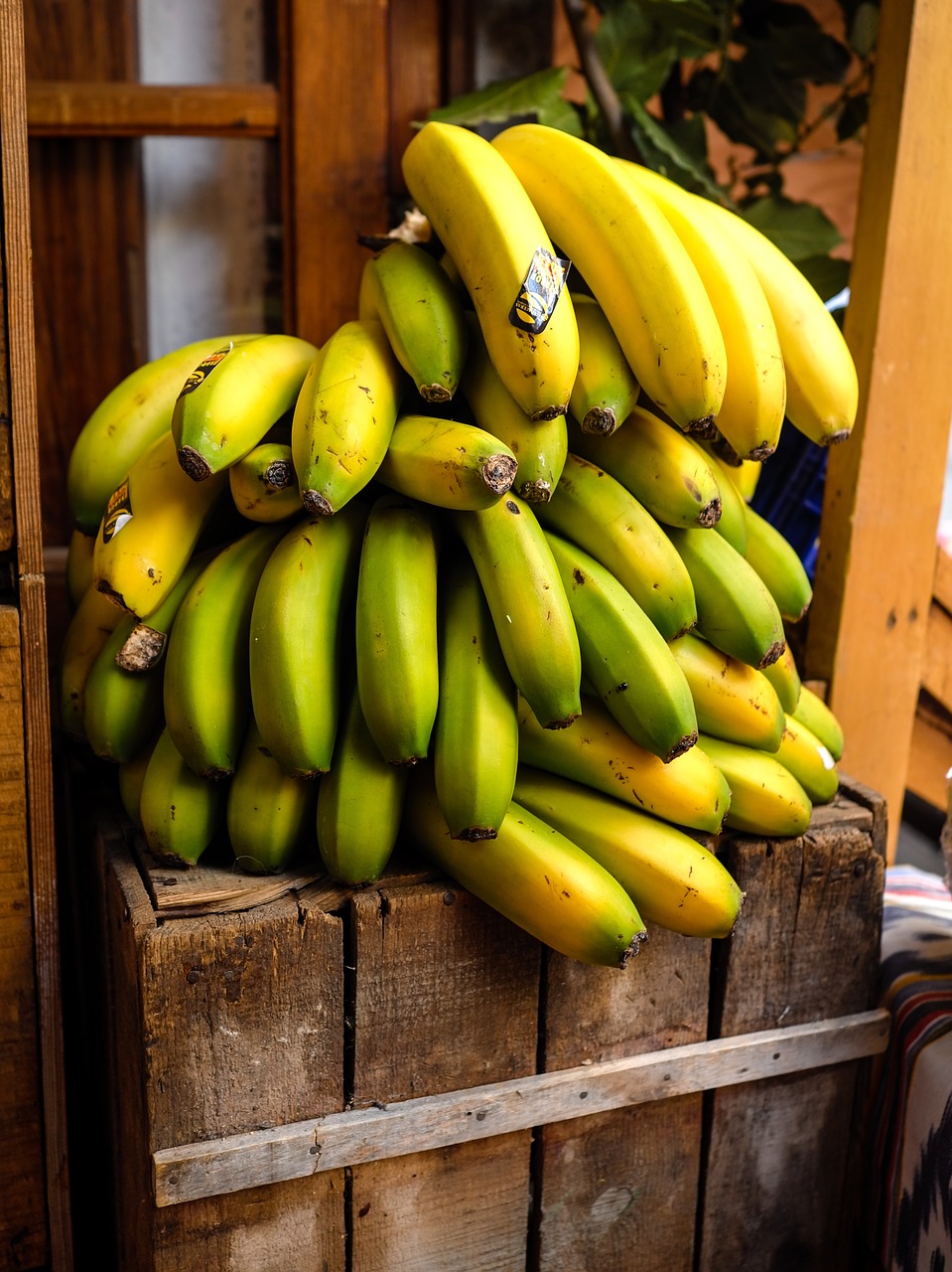 banana  fruit  food free photo