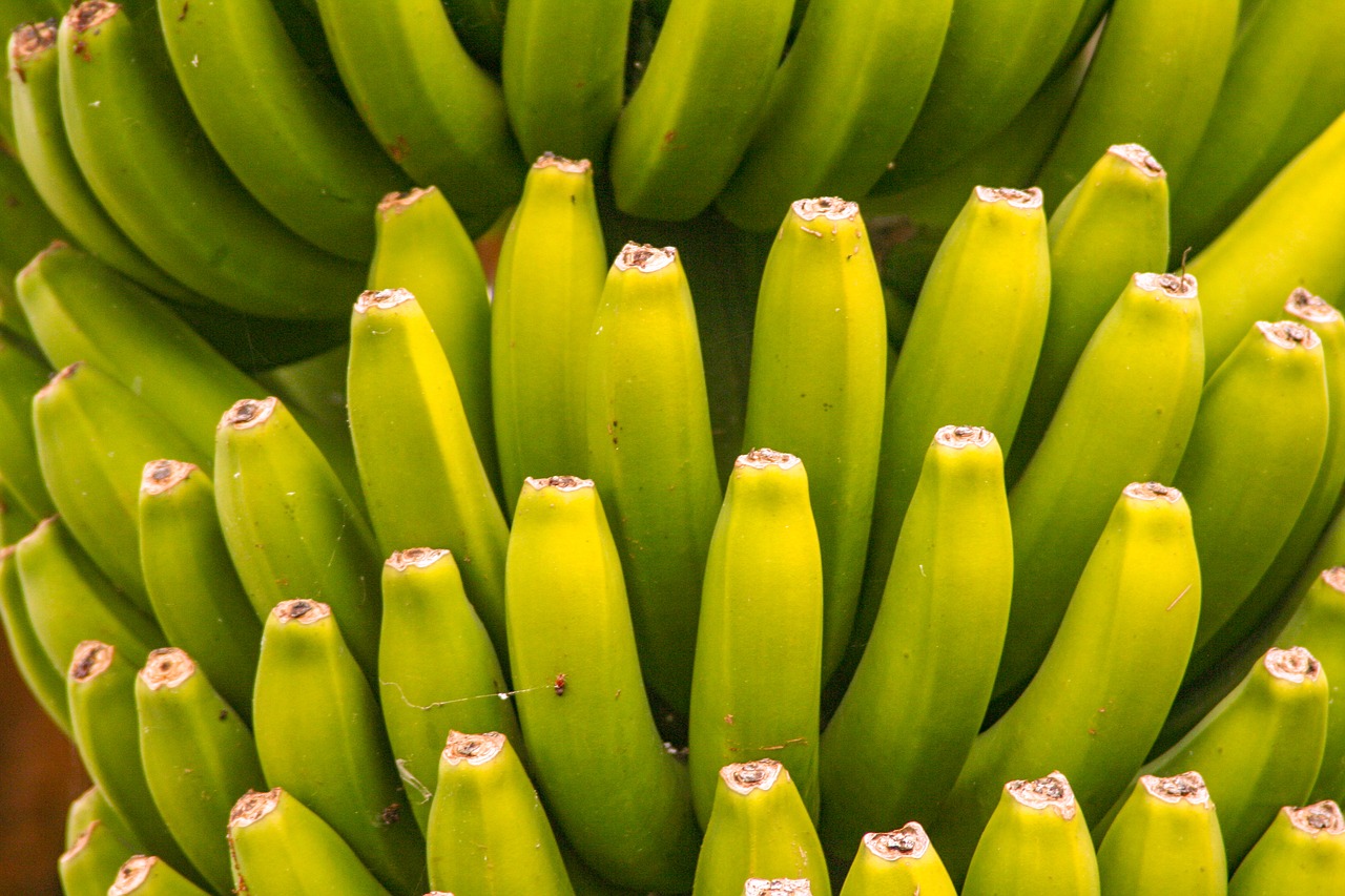 banana  fruit  food free photo