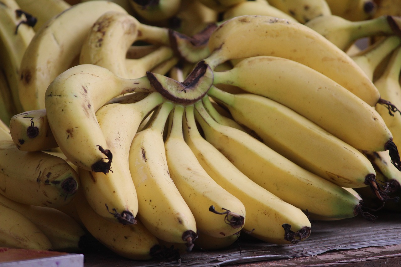 banana  musa  fruit free photo