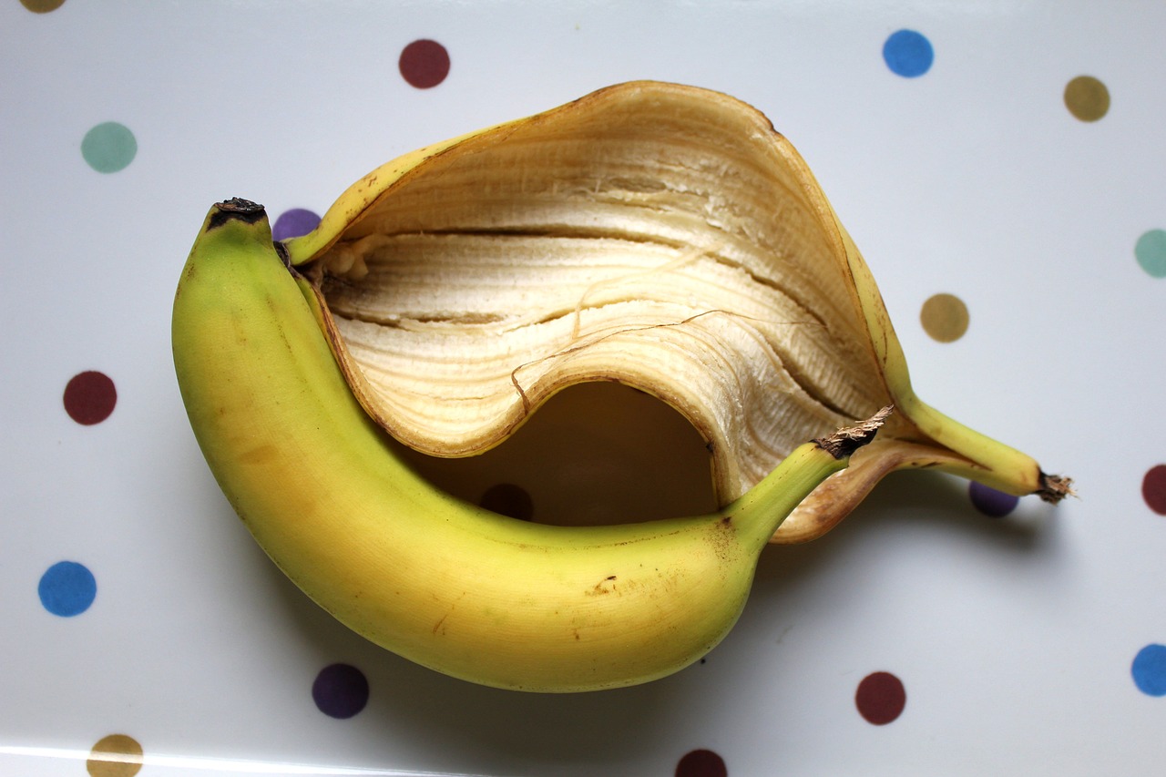 banana  skin  peel free photo