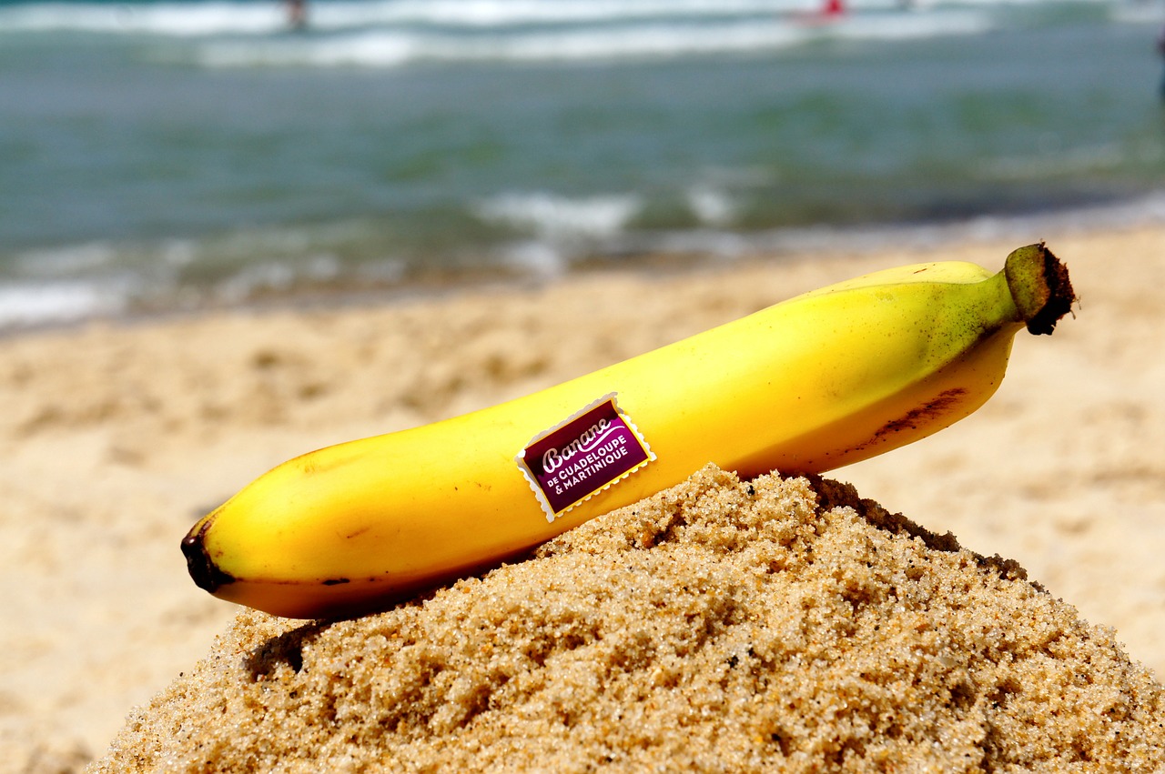 banana beach sun free photo