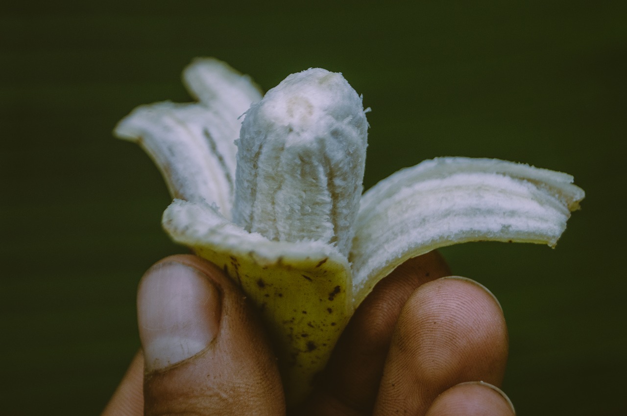 banana  fruit  macro free photo