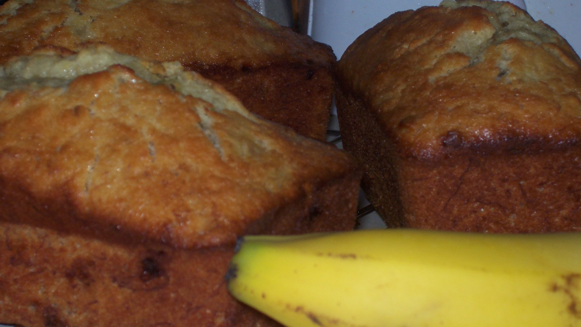 food banana bread banana free photo