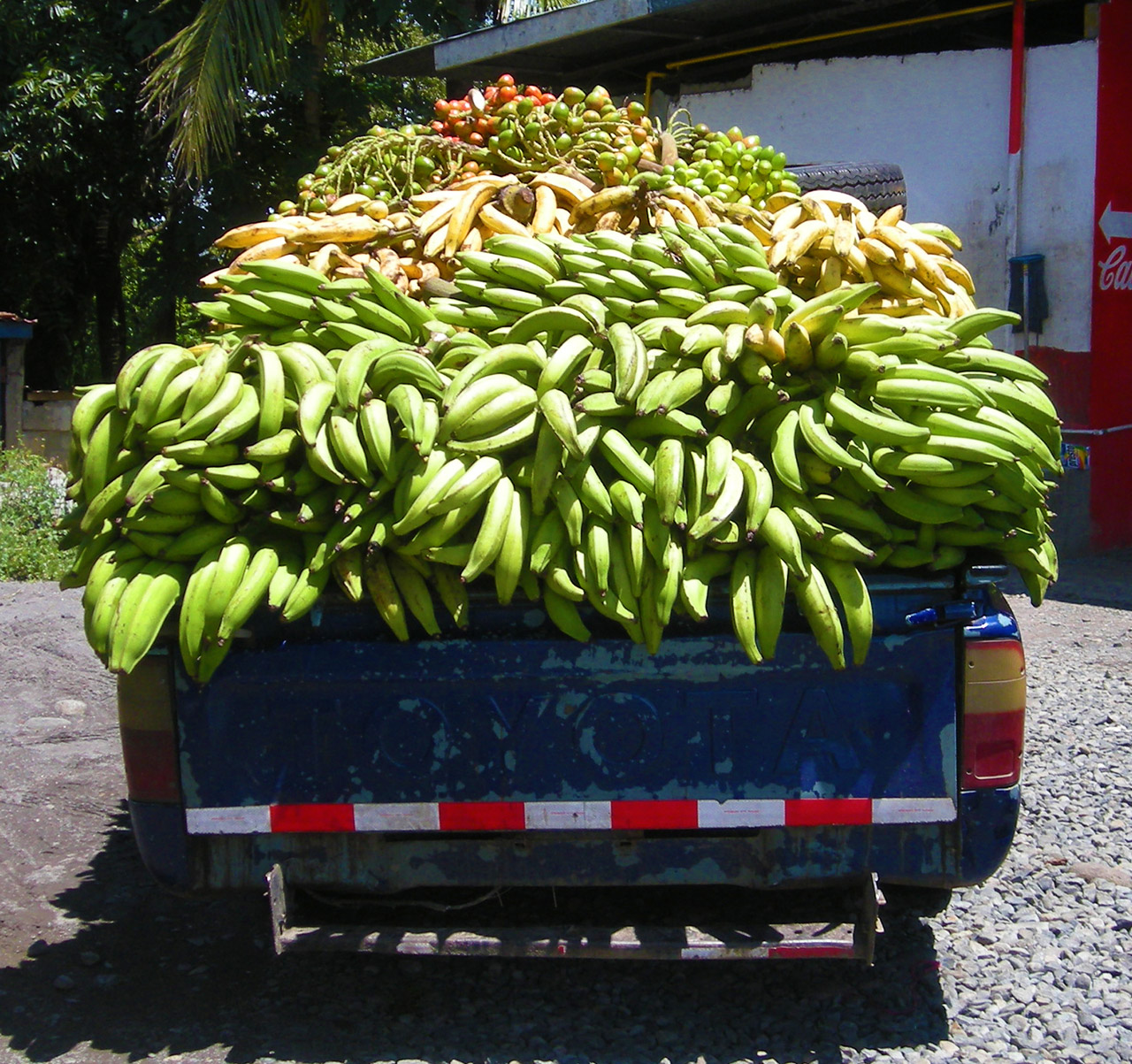 banana plantain truck free photo