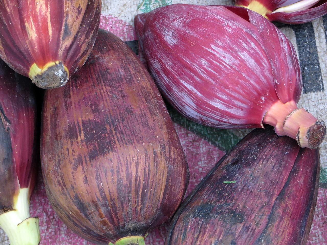 banana flower banana food free photo