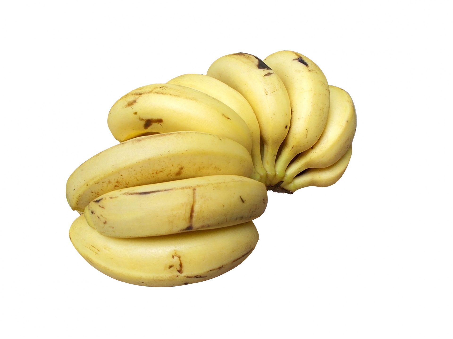 banana bananas isolated free photo