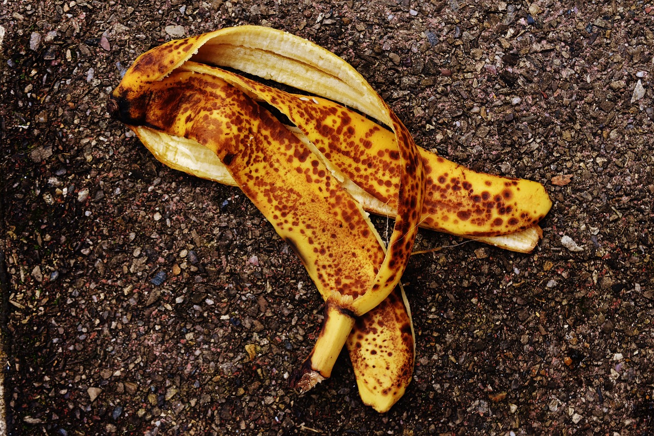 banana peel banana eat free photo