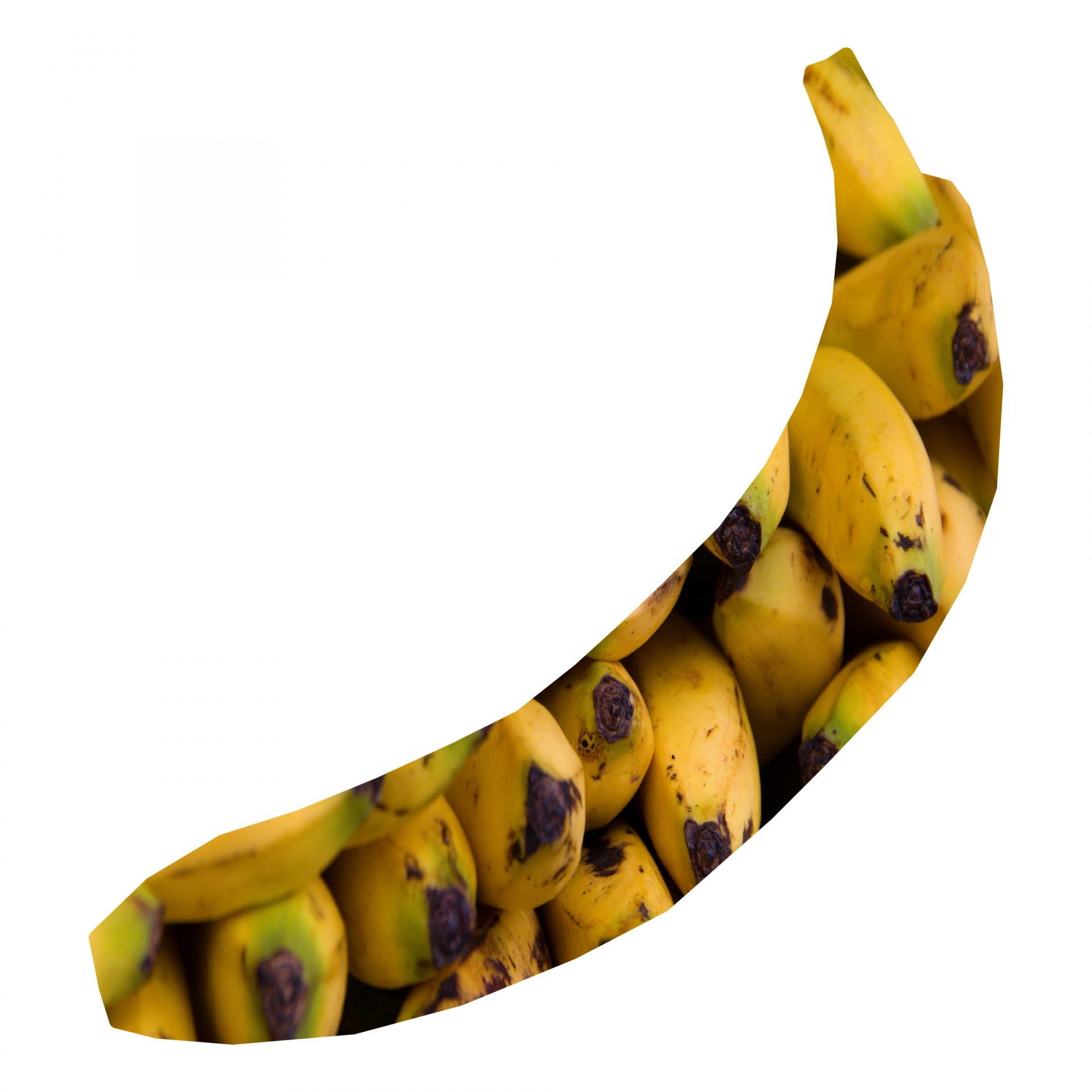 drawing banana texture free photo