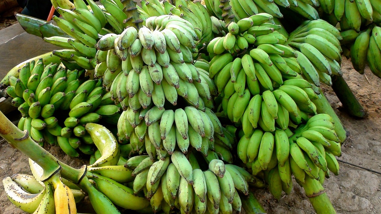 bananas fresh fruit free photo
