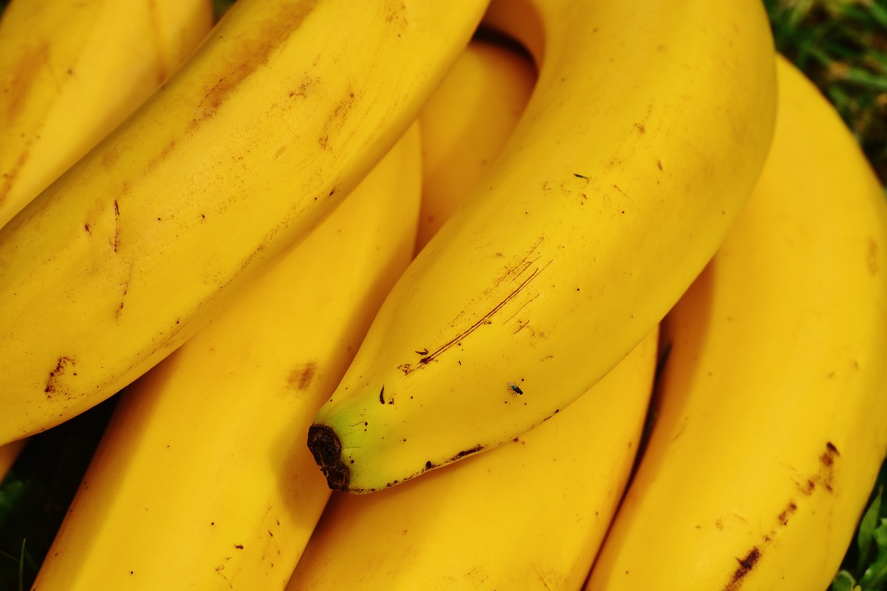 bananas fruits fruit free photo