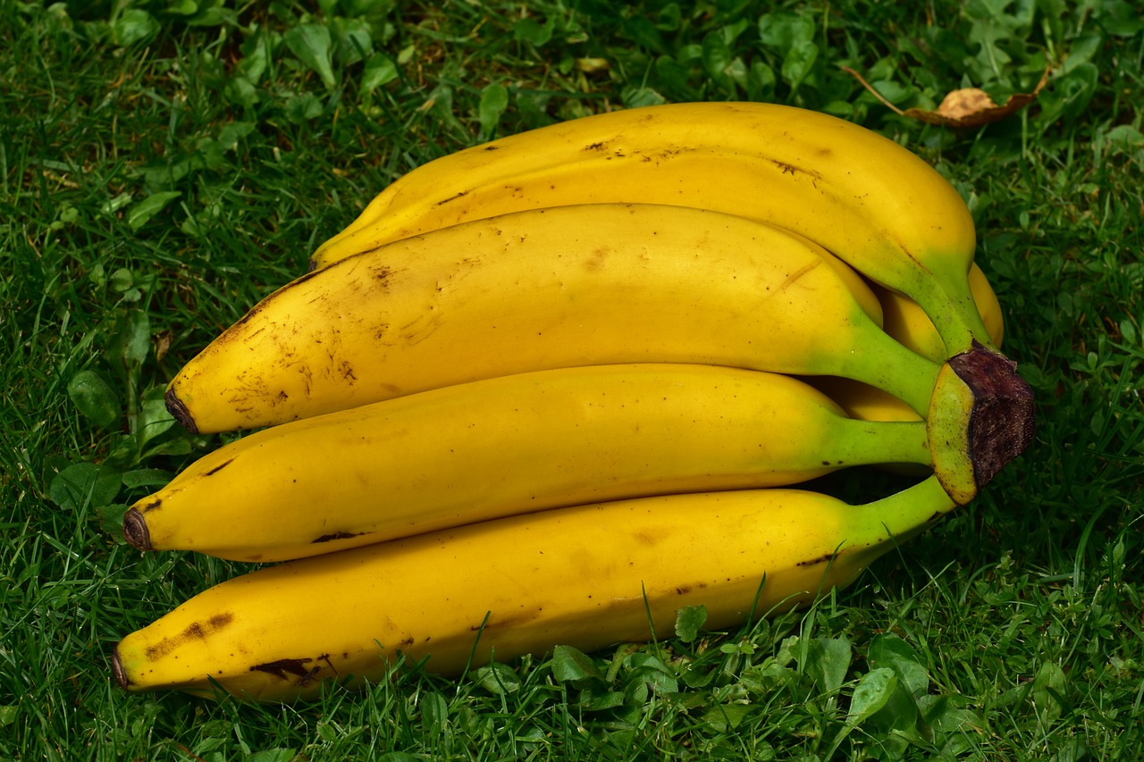 bananas fruits fruit free photo