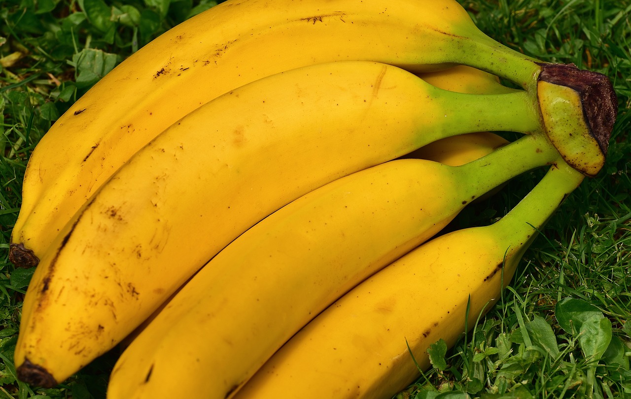 bananas fruits fruit free photo