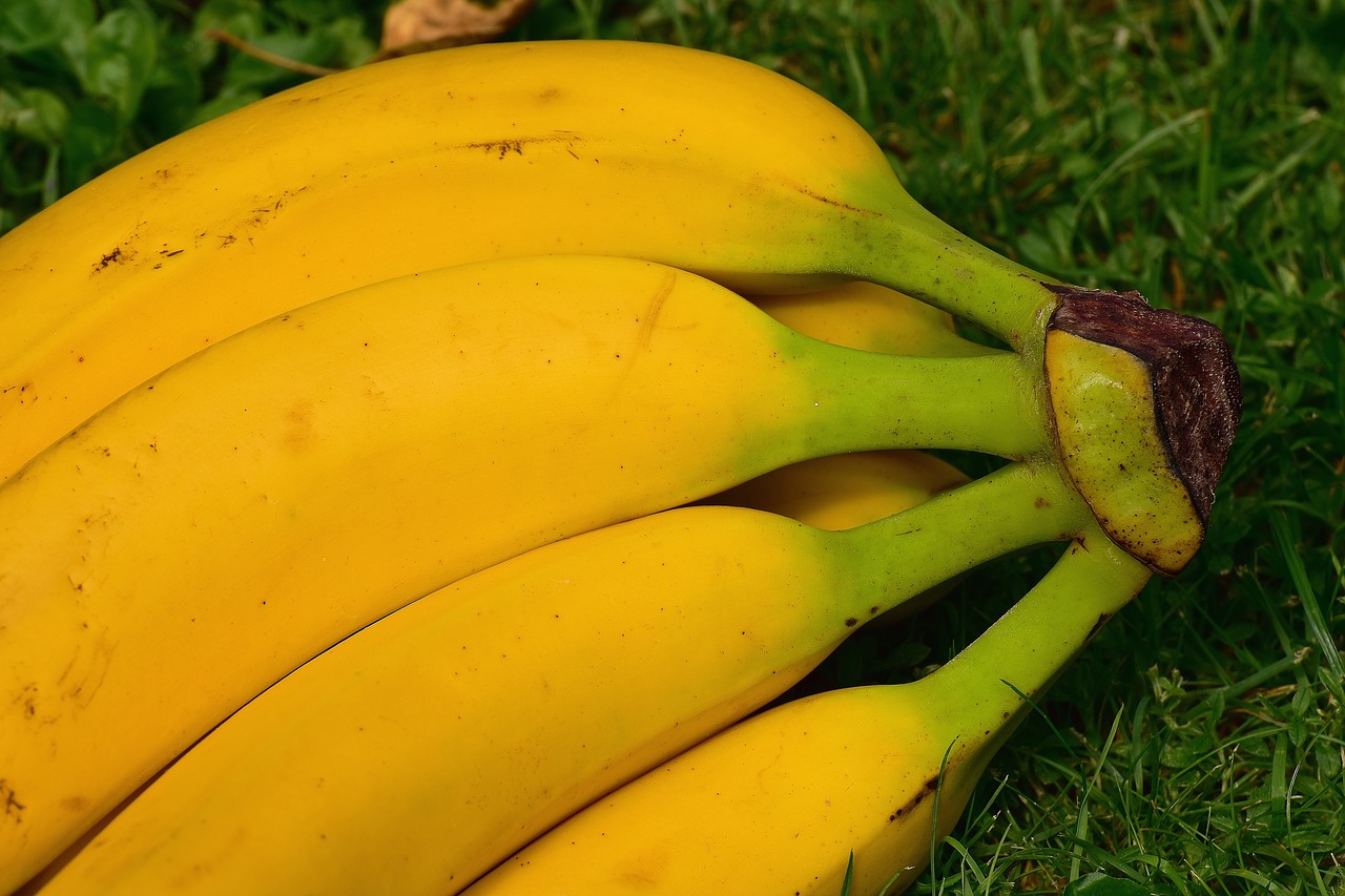 bananas fruits fruit free photo