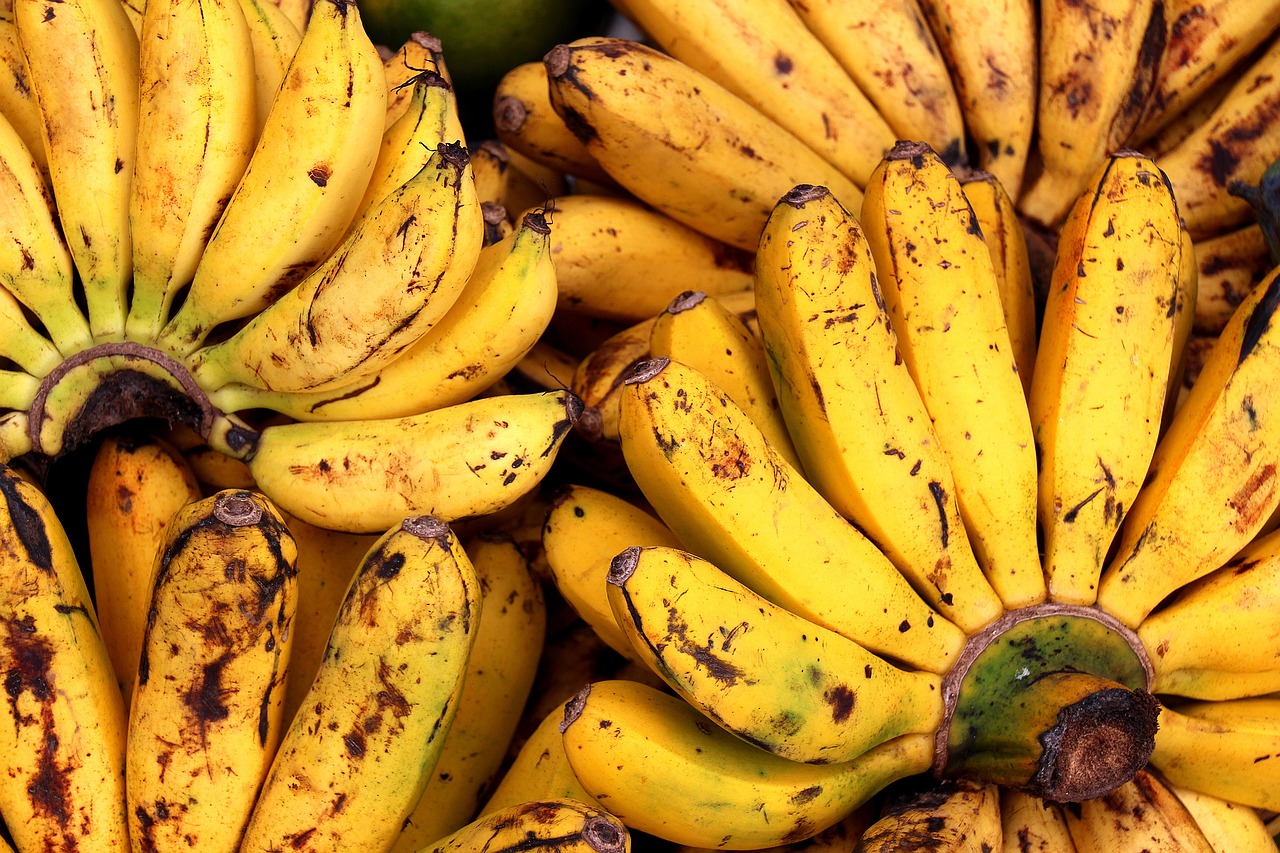 bananas fruits assortment free photo