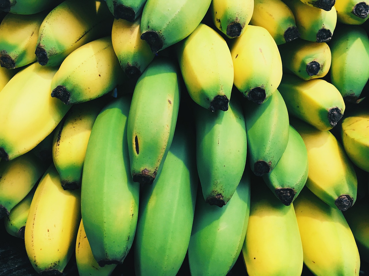 bananas close-up food free photo