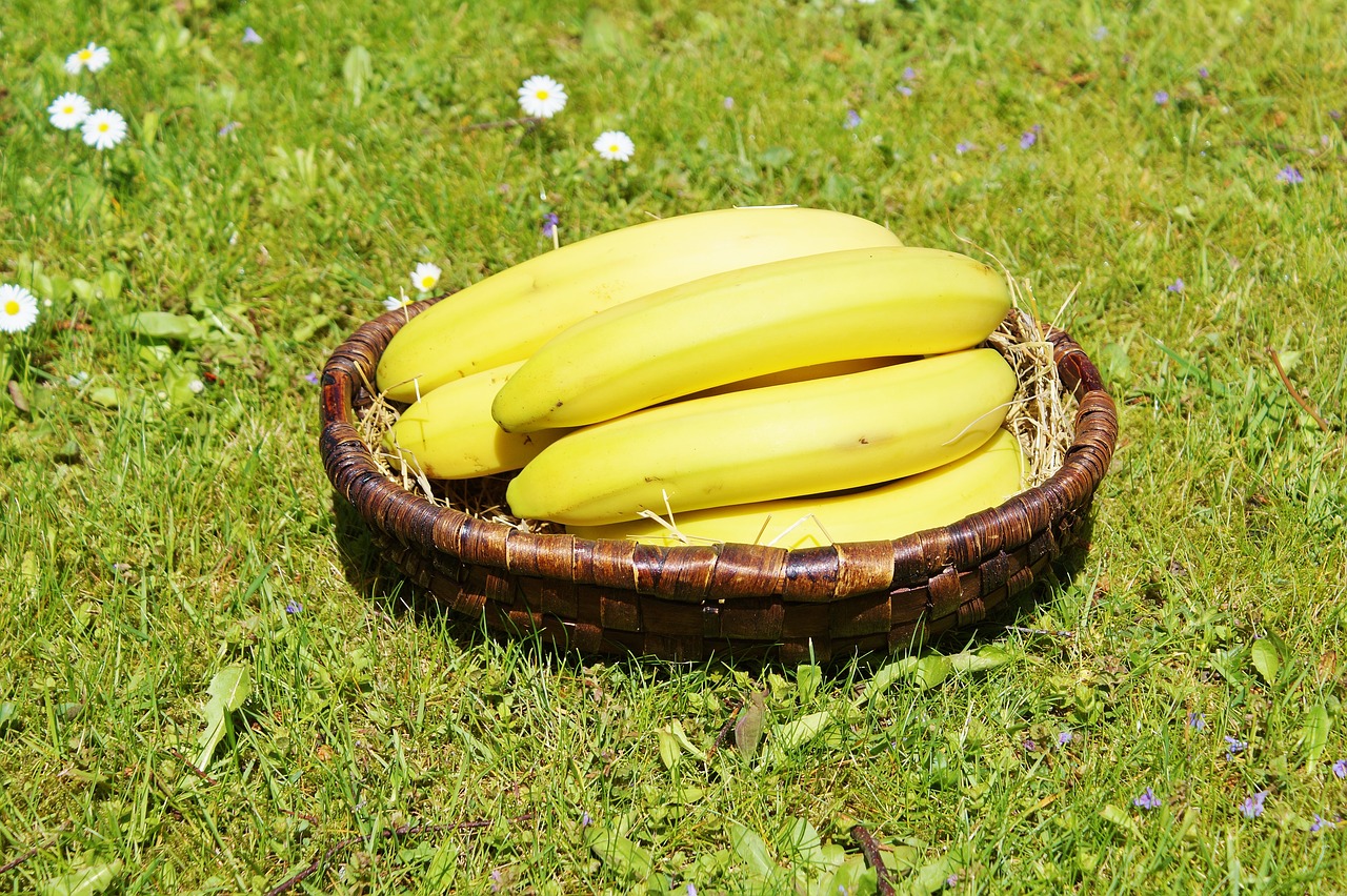 bananas fruits fruit free photo