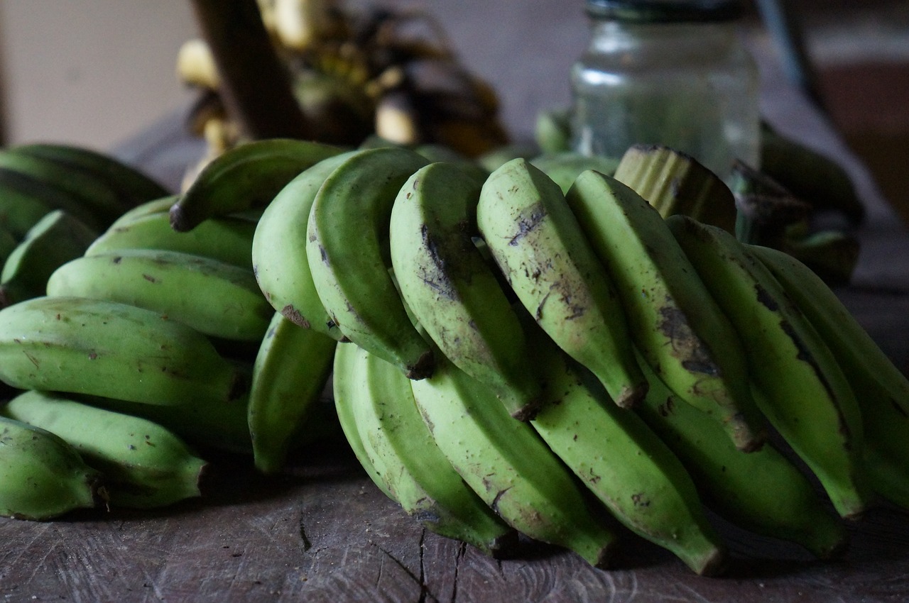 bananas green cultivation free photo