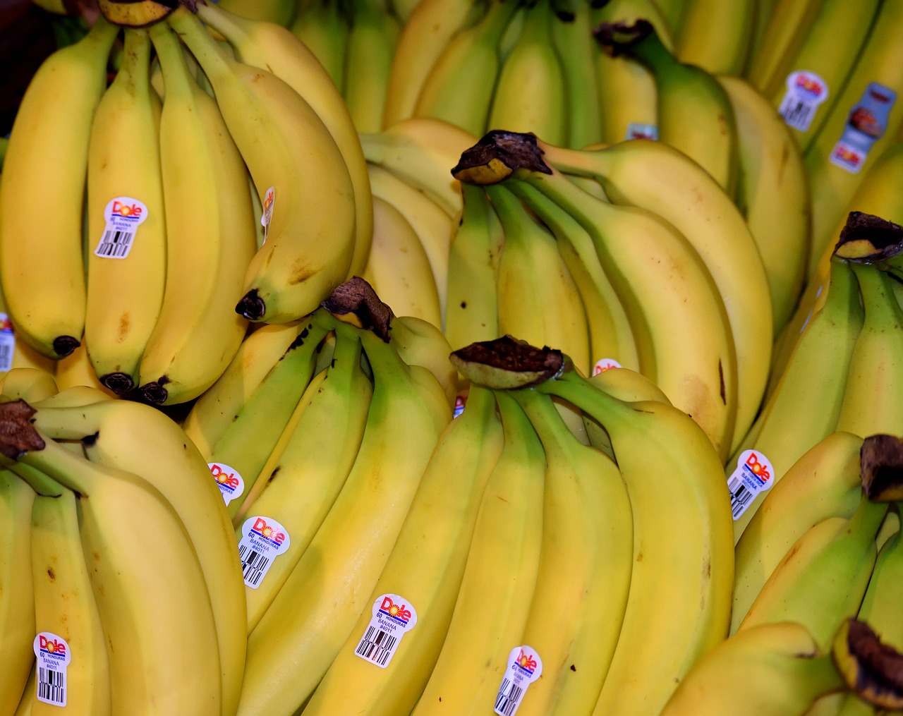 bananas fruit for sale free photo