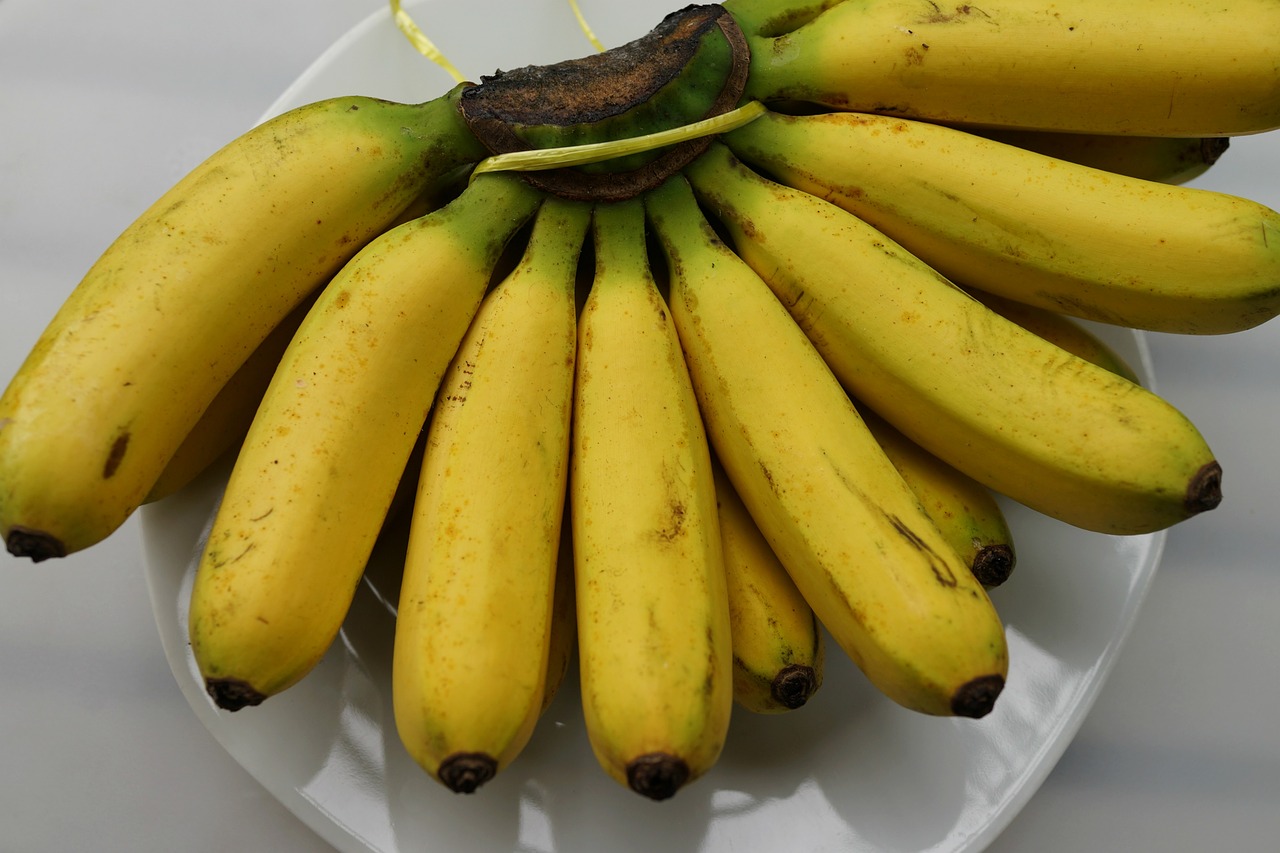 bananas popular fruit nutrition free photo