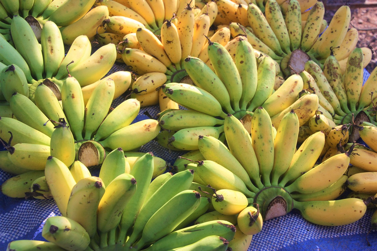 bananas  fruits  fruit free photo