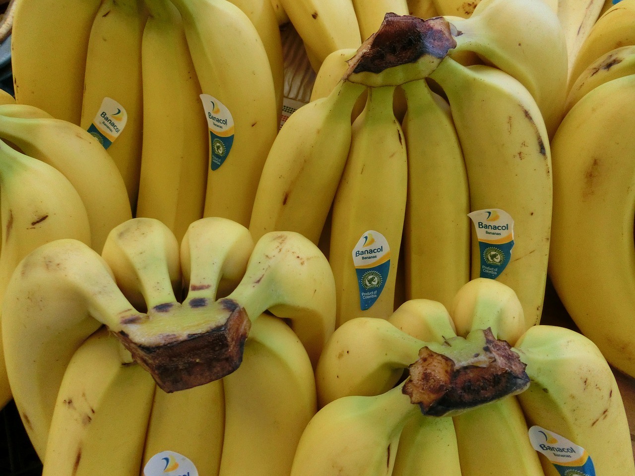 bananas fruit healthy free photo