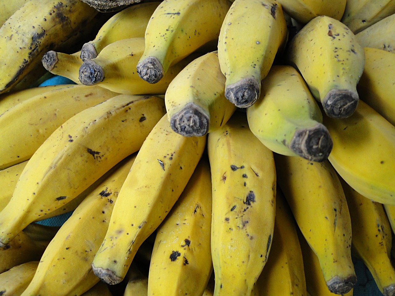 bananas  food  yellow free photo