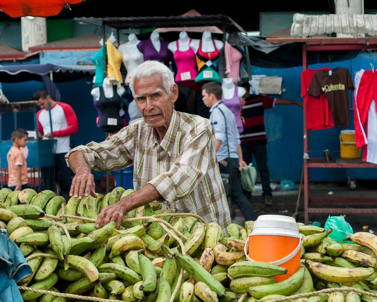 bananas vendor open market free photo