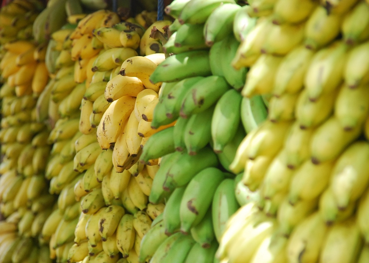 bananas fruits food free photo