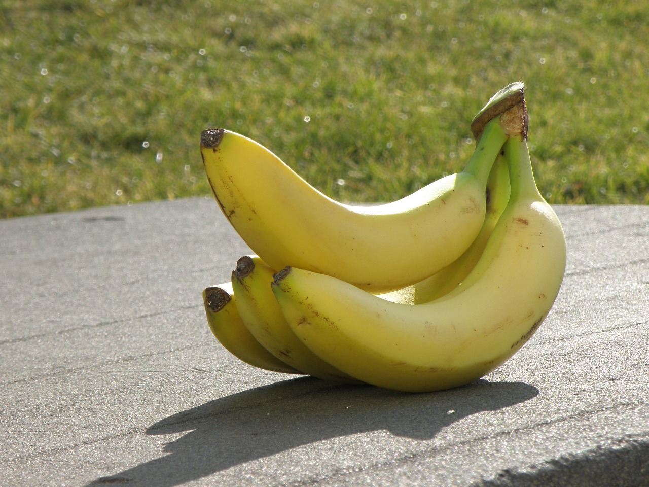 bananas yellow cluster free photo