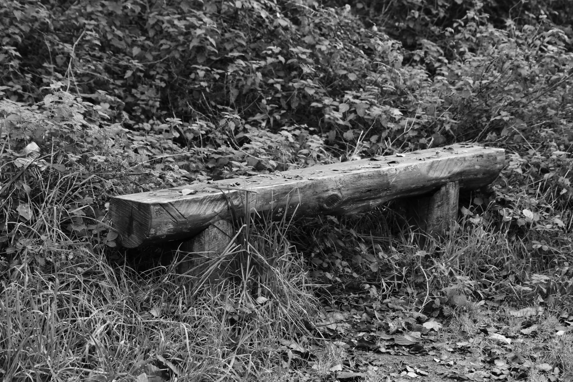 bench sitting rest free photo