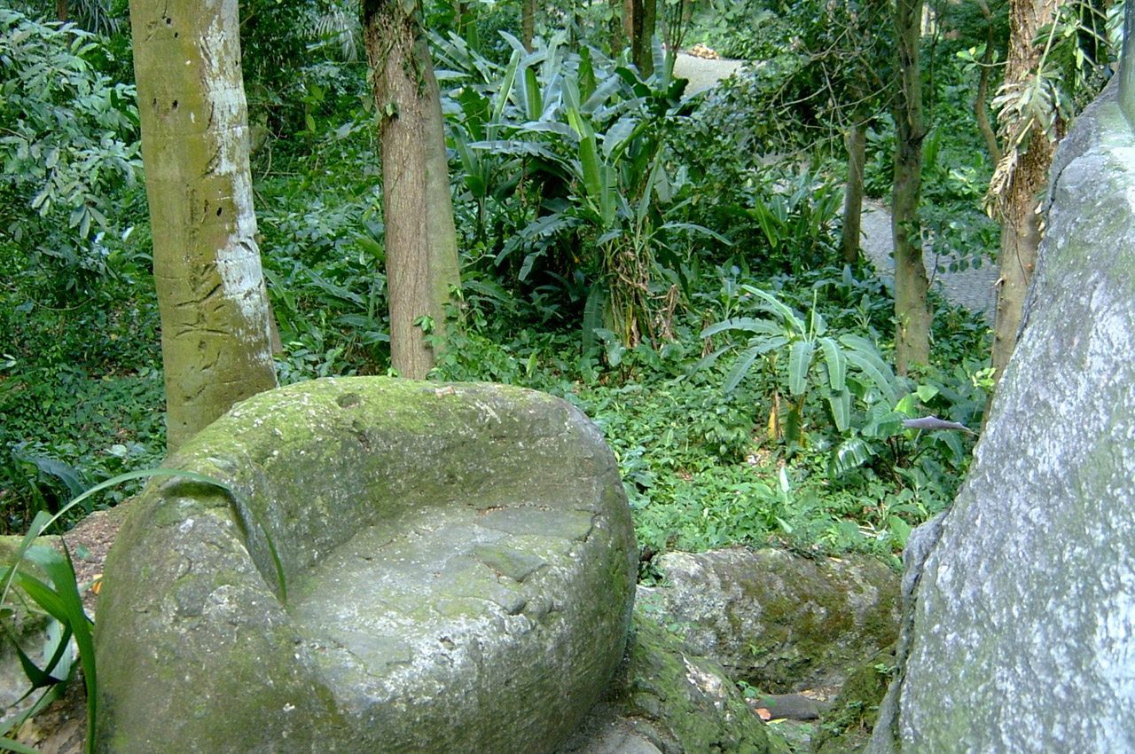 bench forest nature free photo