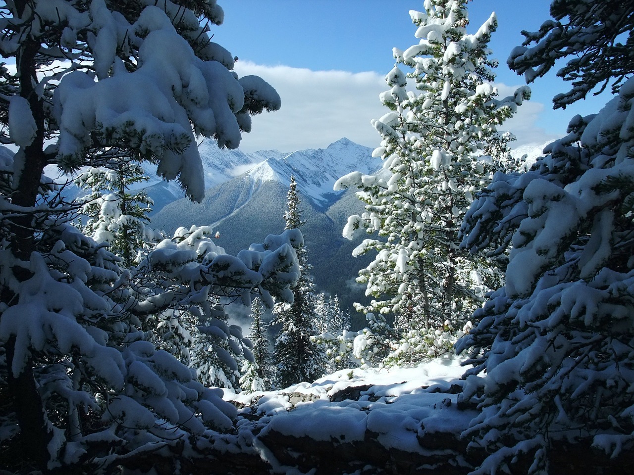 banff canada snow free photo