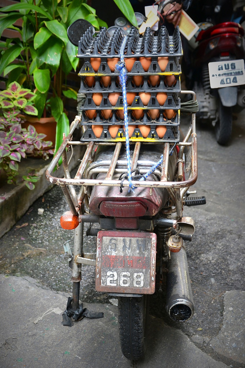 bangkok moped egg free photo