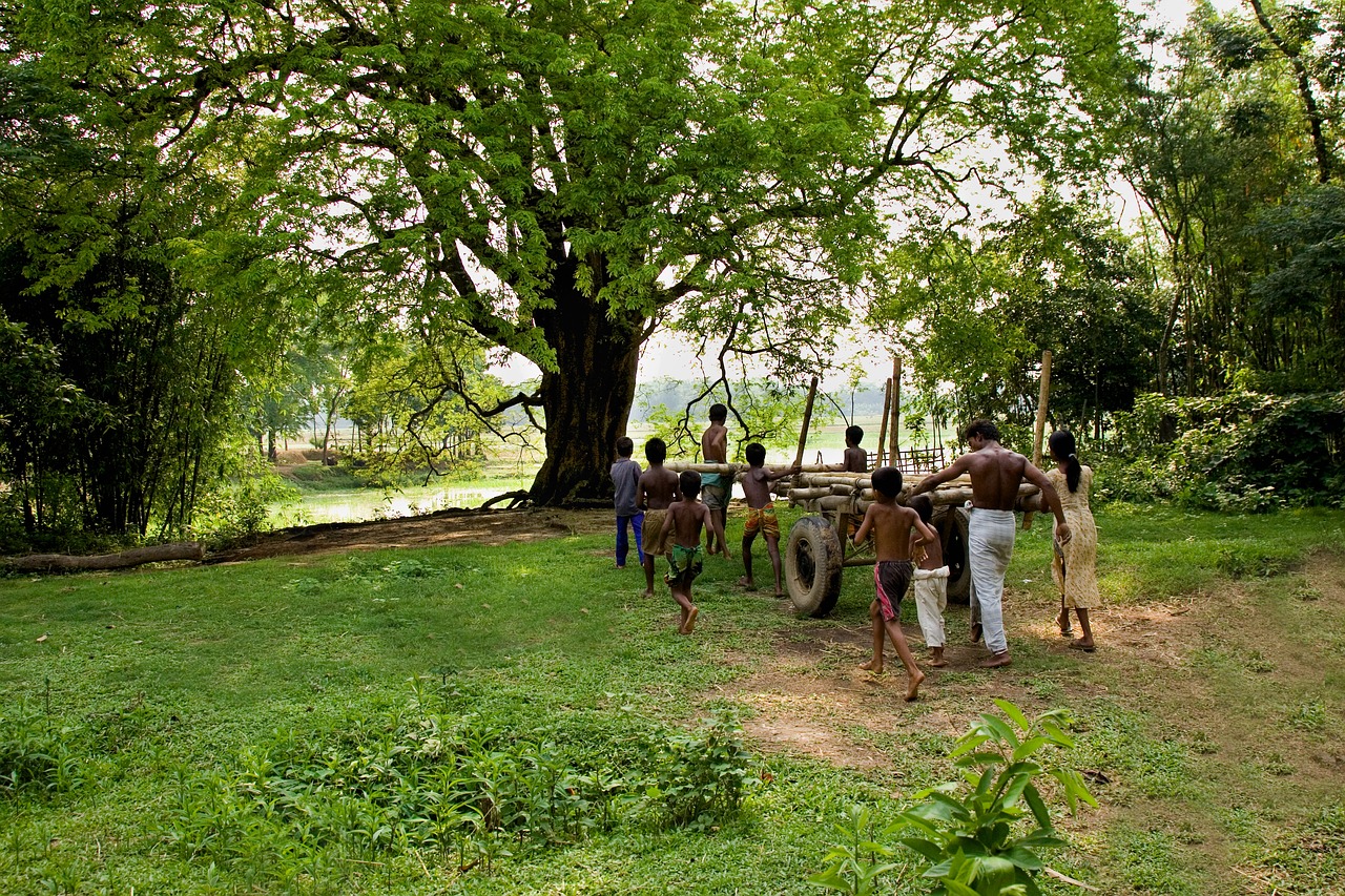 bangladesh  children  playing free photo