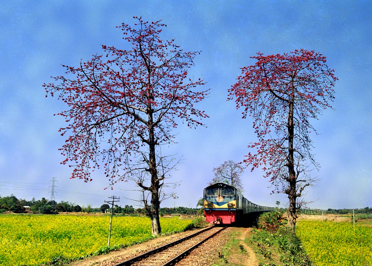 bangladesh  train  landscape free photo