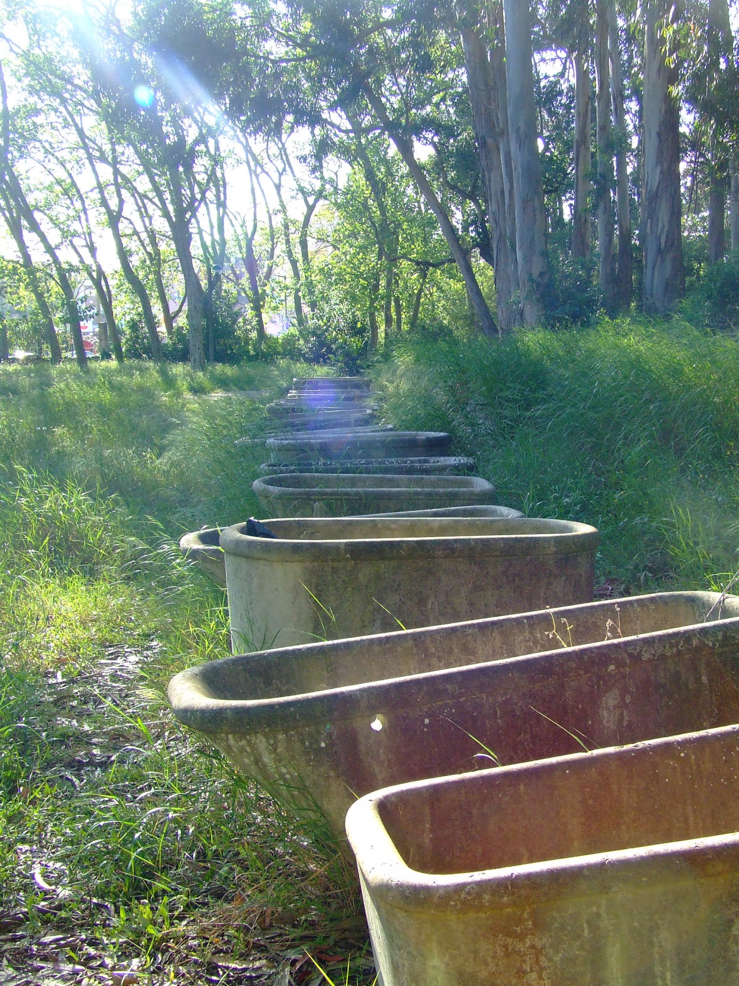 tubs stone bath bush free photo