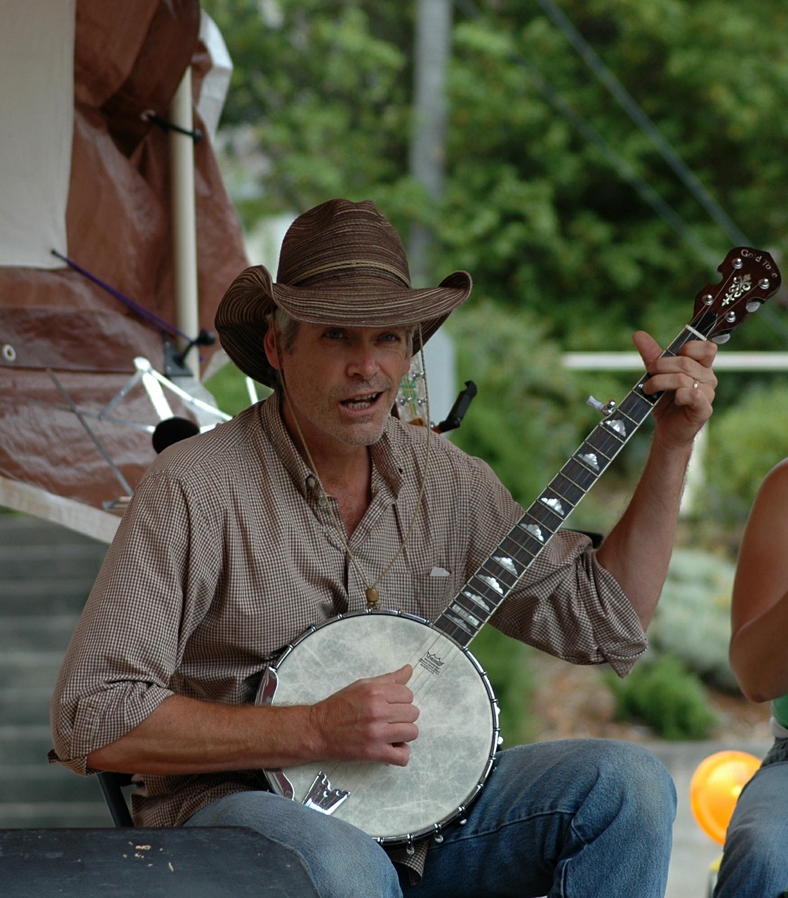 banjo musician instrument free photo