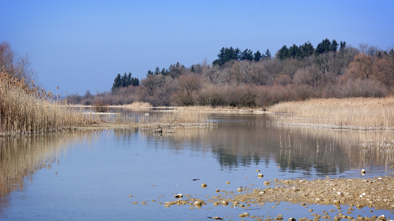 bank beach lake free photo