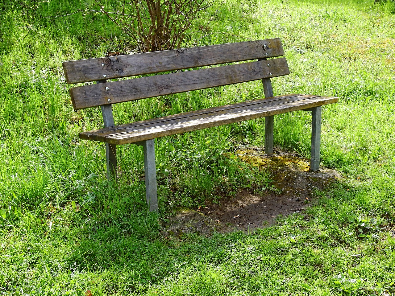 bank wooden bench bench free photo