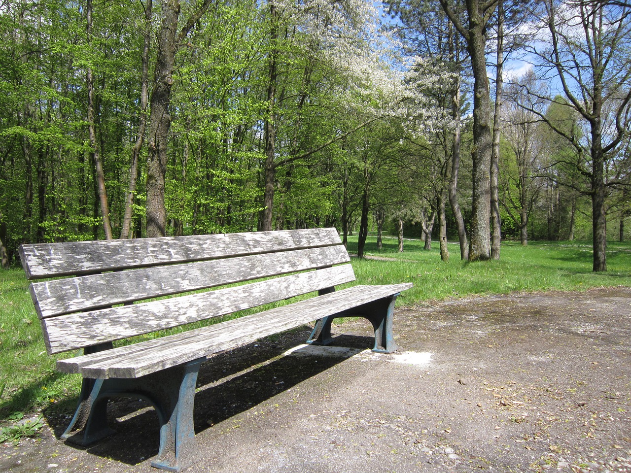 bank wooden bench spring free photo