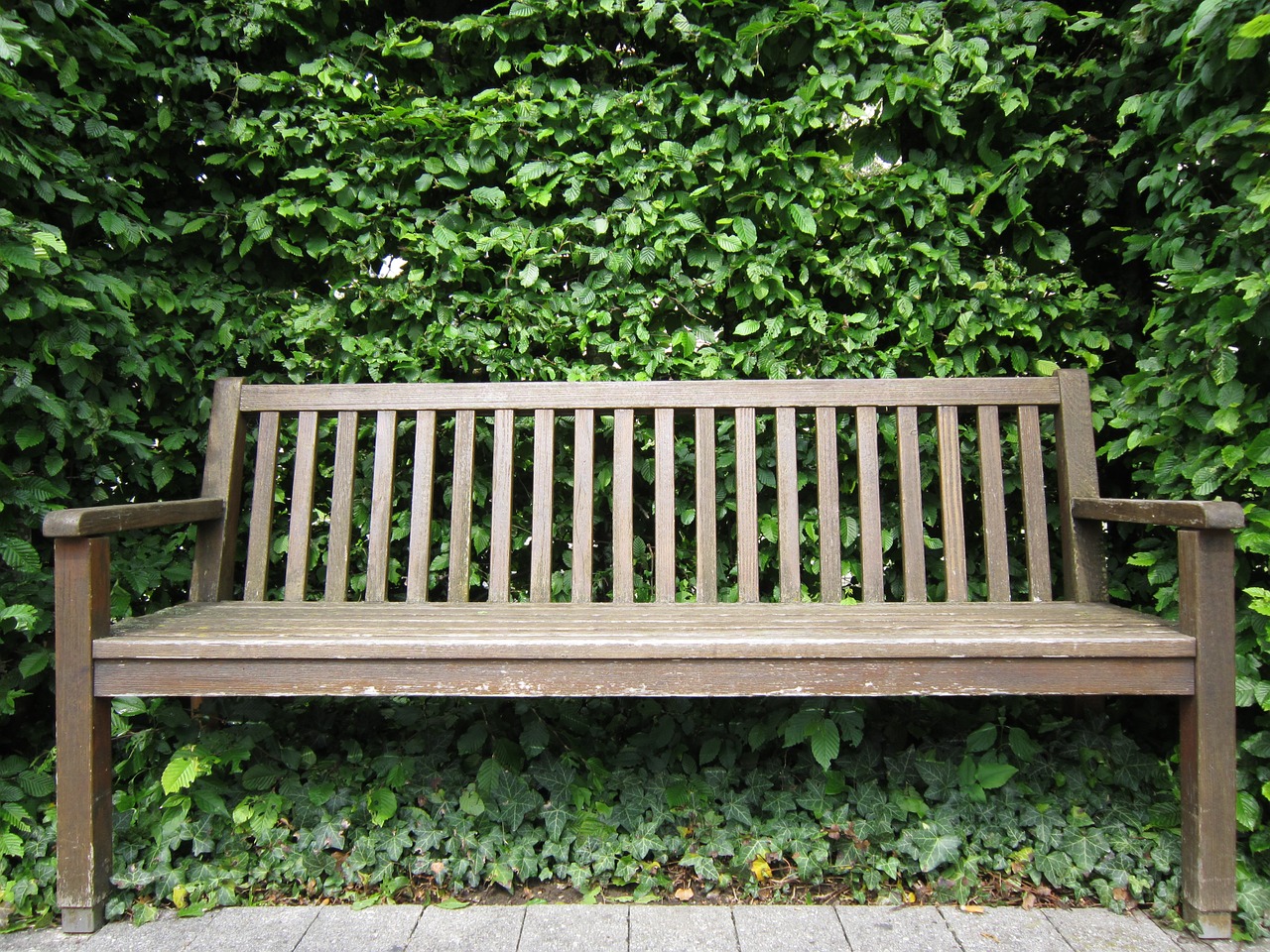 bank wooden bench nature free photo