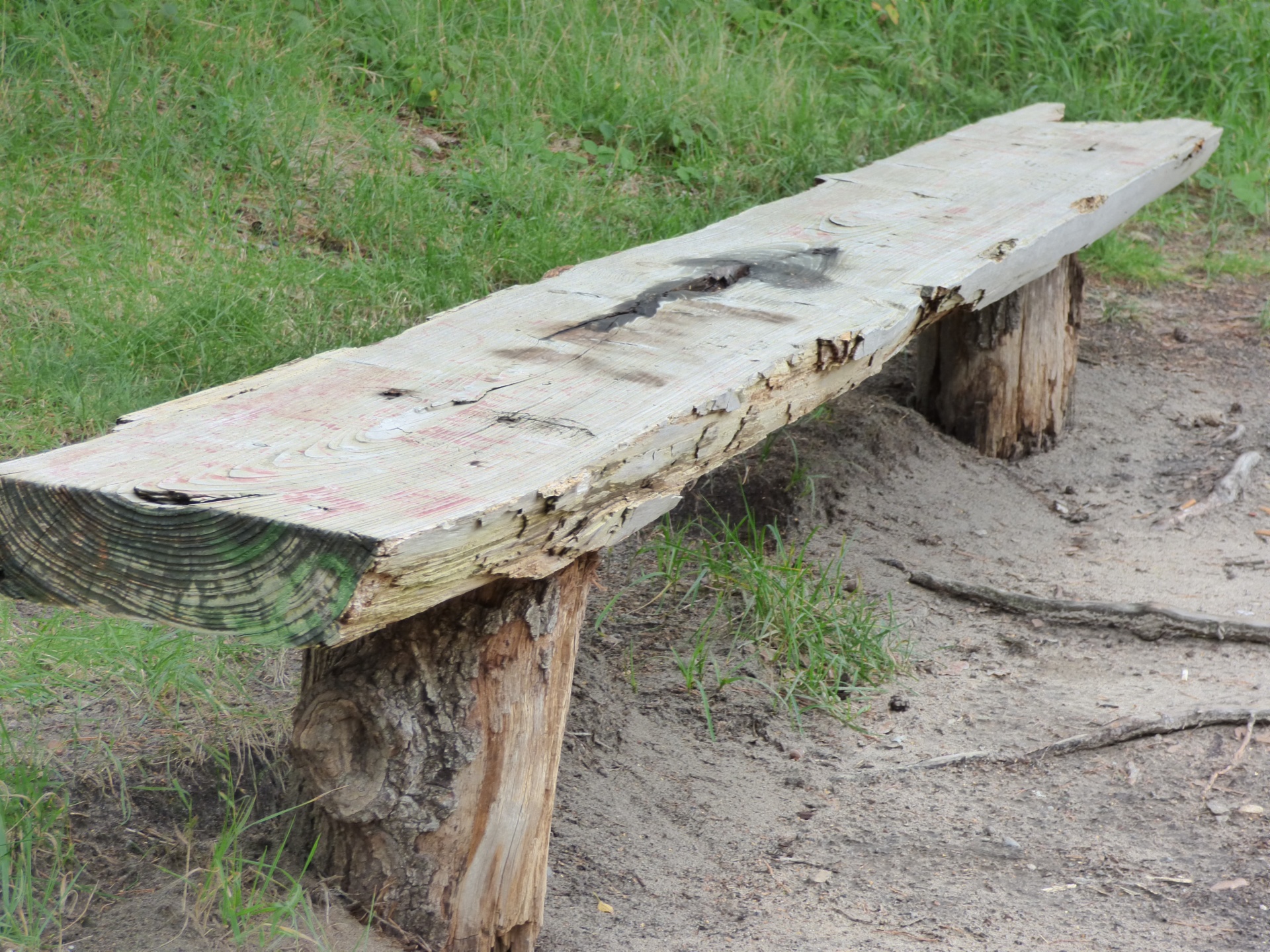 bench wooden bench nature free photo