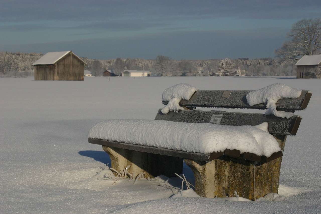 bank snow snowy free photo