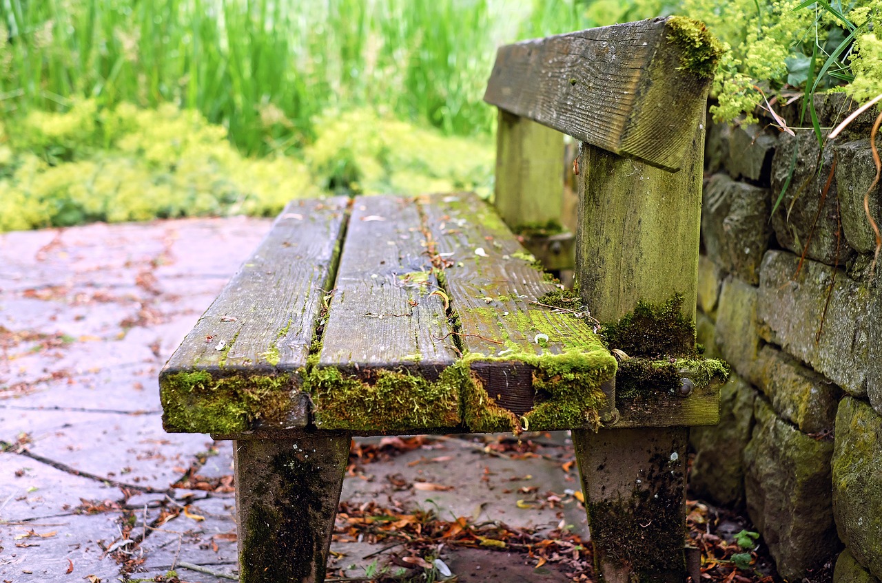 bank bench old wood bench free photo