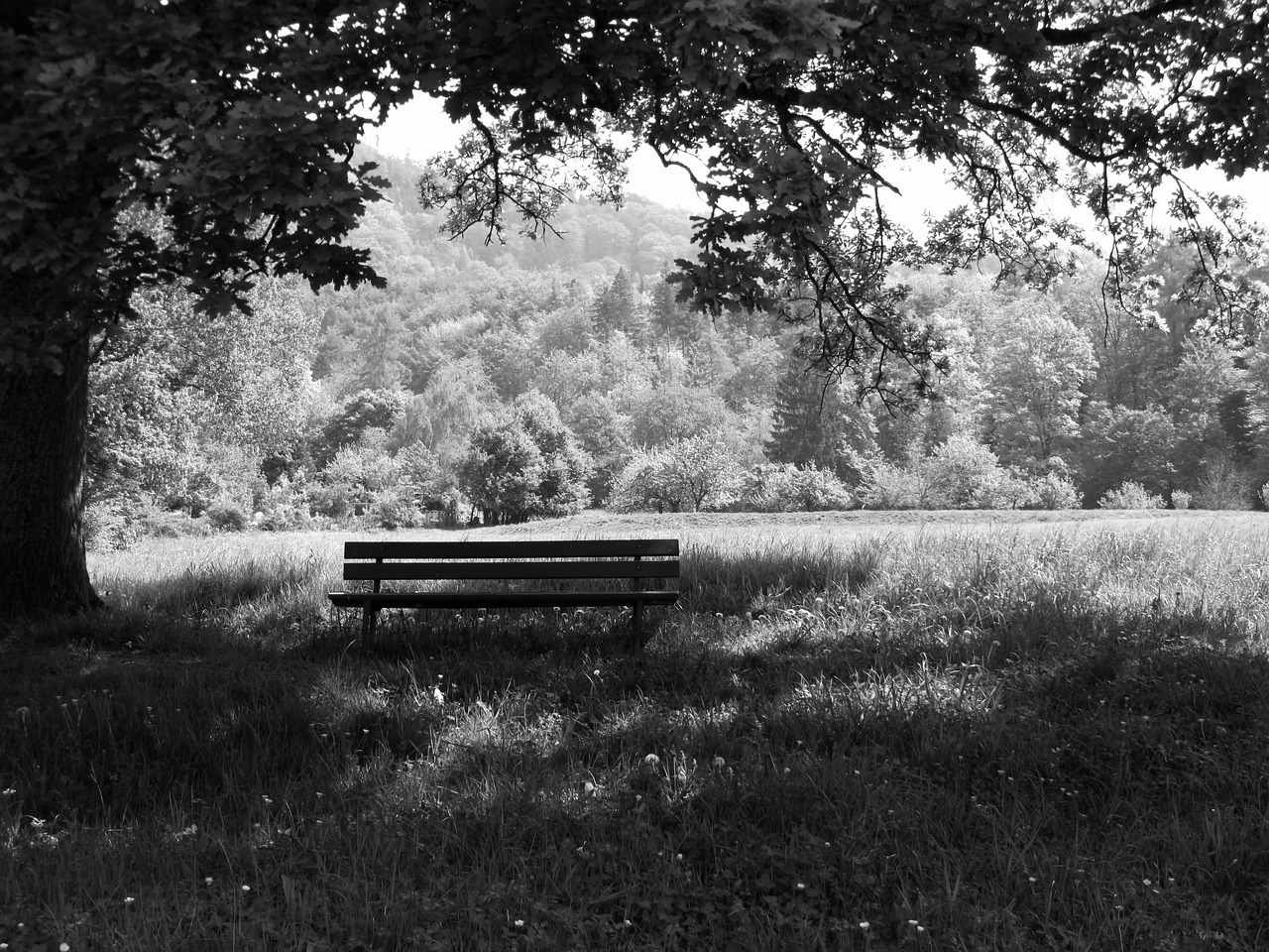 bank park bench recovery free photo