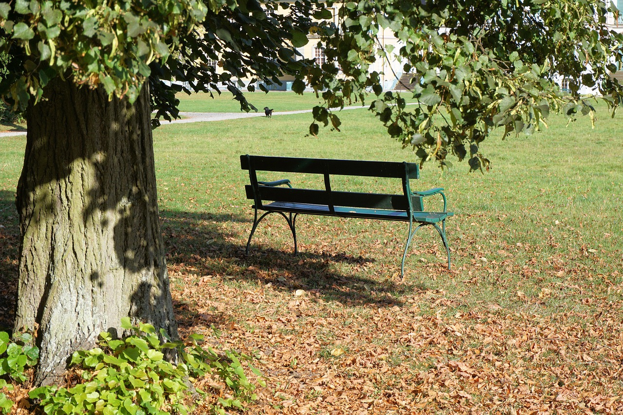 bank park bench park free photo